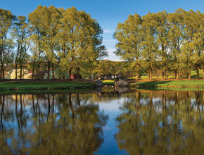 A pond on campus. Links to Beneficiary Designations