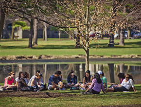 A group of students sitting outside. Links to Closely Held Business Stock