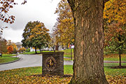 Campus in the fall