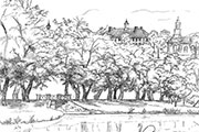 Etching of campus